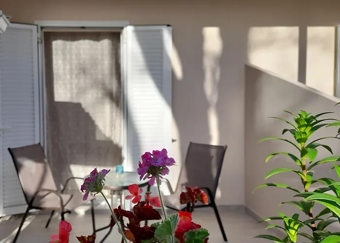 Sun & Sea Apartament *