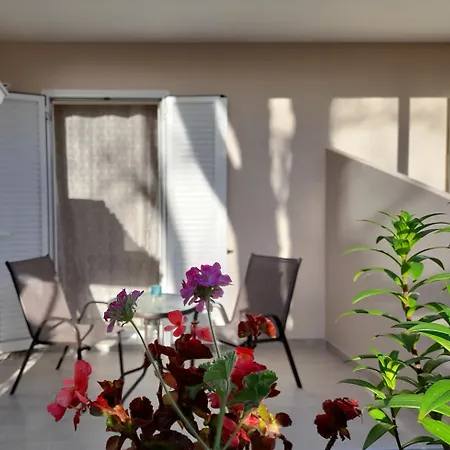 Sun & Sea Apartment *