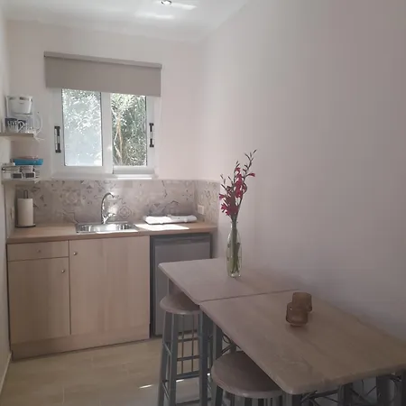 Sun & Sea Apartment Laganas