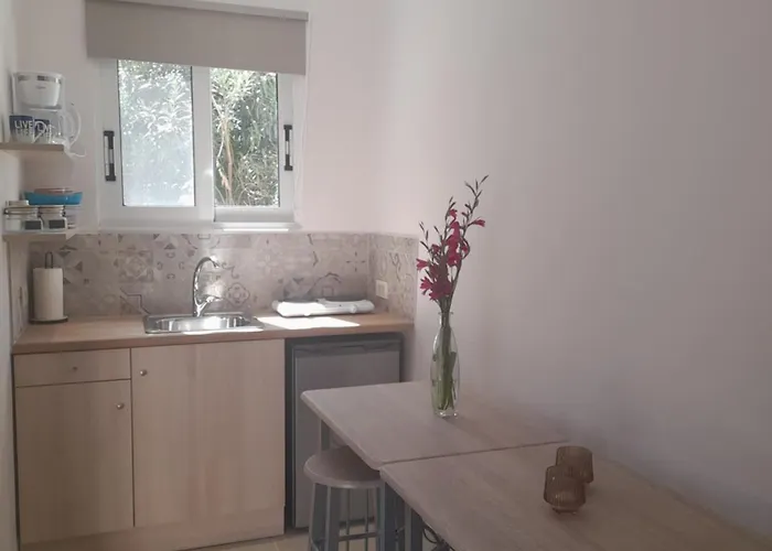 Sun & Sea Appartement Laganas